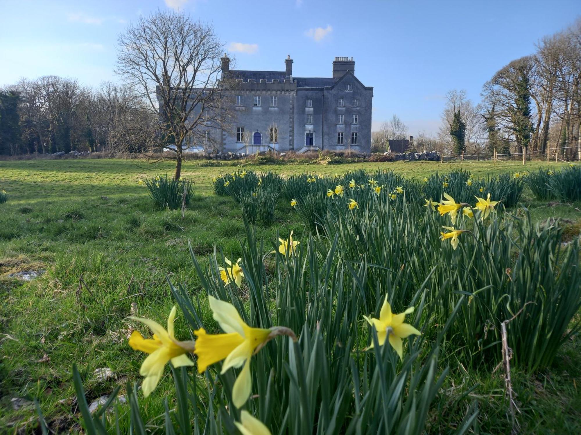 Cregg Castle Guest House Galway Ngoại thất bức ảnh