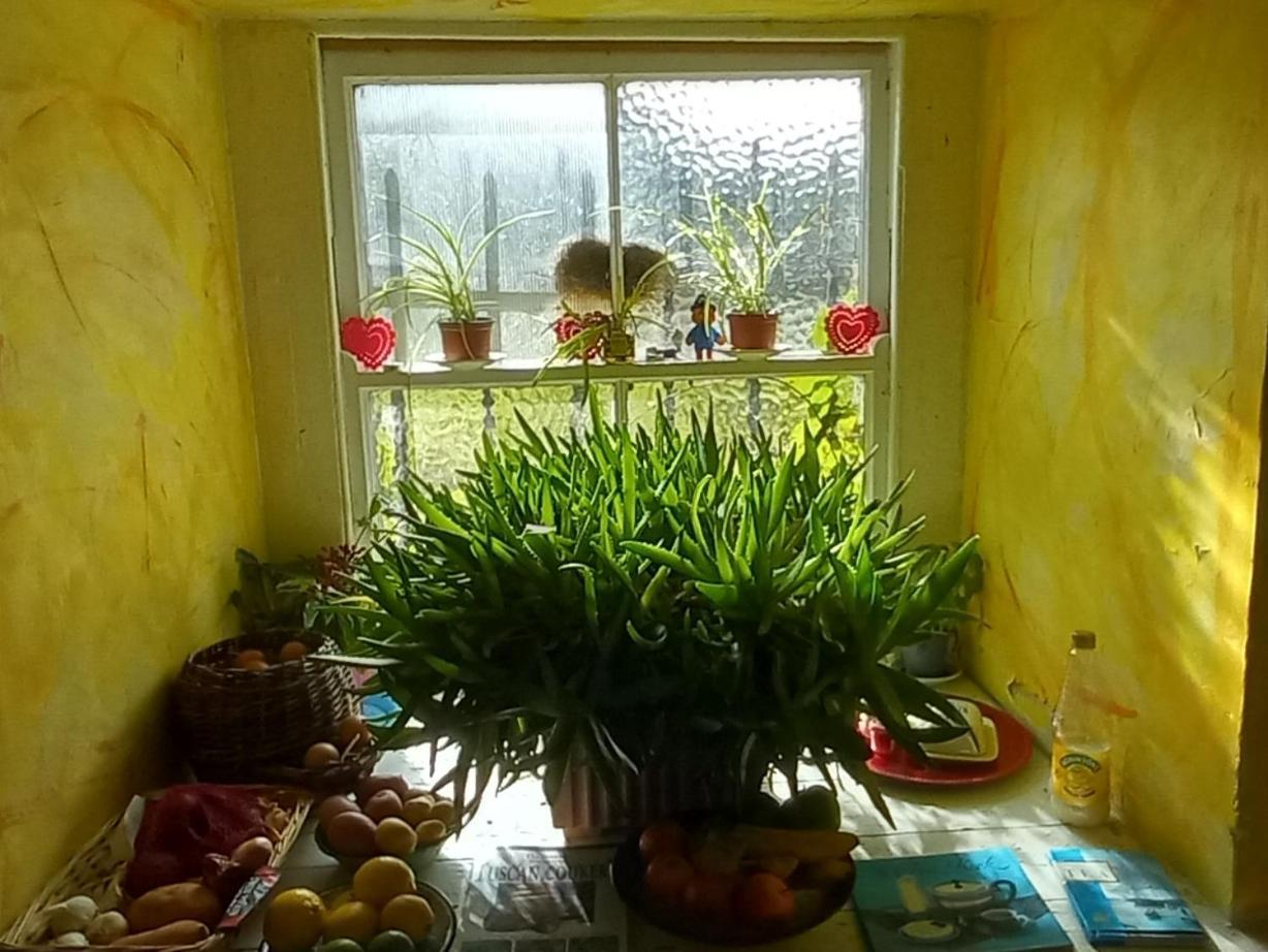 Cregg Castle Guest House Galway Ngoại thất bức ảnh